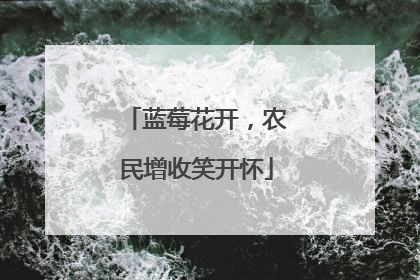 蓝莓花开，农民增收笑开怀