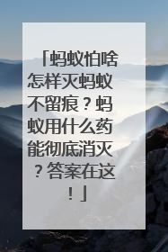 蚂蚁怕啥怎样灭蚂蚁不留痕？蚂蚁用什么药能彻底消灭？答案在这！
