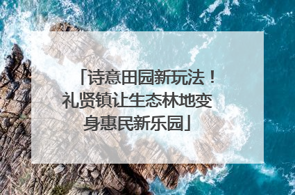 诗意田园新玩法！礼贤镇让生态林地变身惠民新乐园