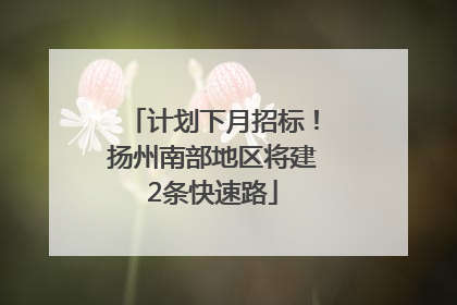 计划下月招标！扬州南部地区将建2条快速路