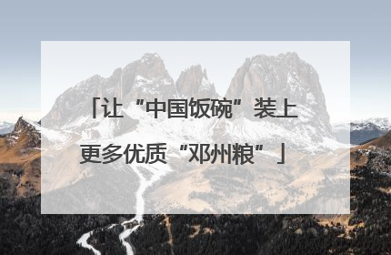 让“中国饭碗”装上更多优质“邓州粮”