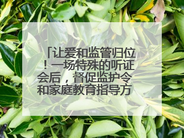让爱和监管归位！一场特殊的听证会后，督促监护令和家庭教育指导方案同时送达