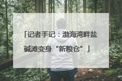 记者手记：渤海湾畔盐碱滩变身“新粮仓”