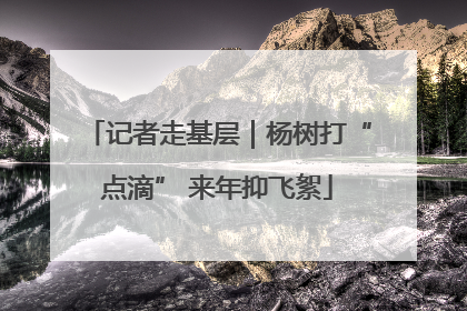 记者走基层｜杨树打“点滴” 来年抑飞絮