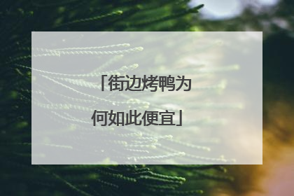 街边烤鸭为何如此便宜