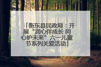 衡东县民政局：开展“润心伴成长 同心护未来”六一儿童节系列关爱活动