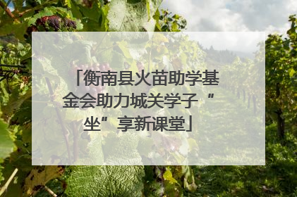 衡南县火苗助学基金会助力城关学子“坐”享新课堂