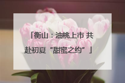 衡山：油桃上市 共赴初夏“甜蜜之约”