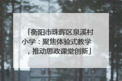 衡阳市珠晖区泉溪村小学：聚焦体验式教学，推动思政课堂创新