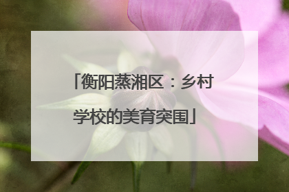 衡阳蒸湘区：乡村学校的美育突围
