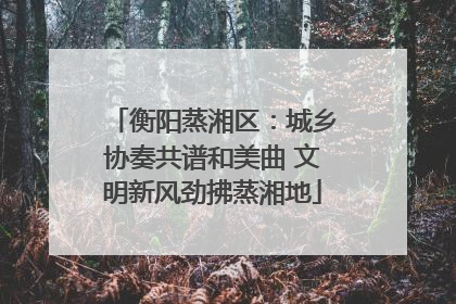 衡阳蒸湘区：城乡协奏共谱和美曲 文明新风劲拂蒸湘地