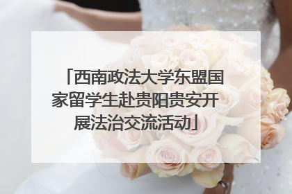 西南政法大学东盟国家留学生赴贵阳贵安开展法治交流活动