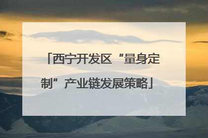 西宁开发区“量身定制”产业链发展策略