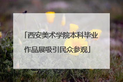 西安美术学院本科毕业作品展吸引民众参观