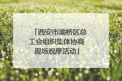 西安市灞桥区总工会组织集体协商现场观摩活动
