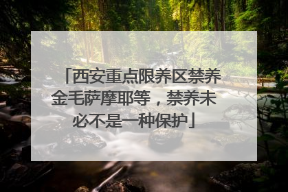 西安重点限养区禁养金毛萨摩耶等，禁养未必不是一种保护