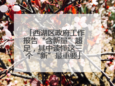 西湖区政府工作报告“含新量”超足，其中读懂这三个“新”最重要