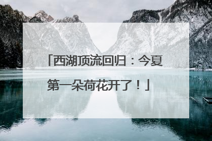 西湖顶流回归：今夏第一朵荷花开了！