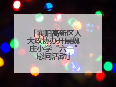 襄阳高新区人大政协办开展魏庄小学“六一”慰问活动