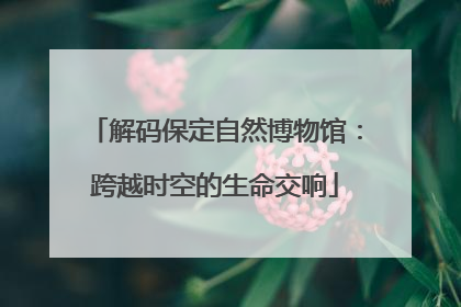 解码保定自然博物馆：跨越时空的生命交响