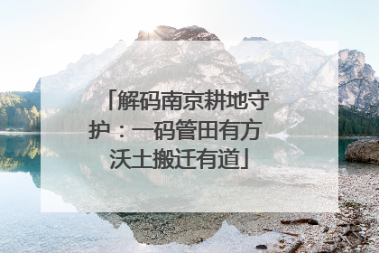 解码南京耕地守护：一码管田有方 沃土搬迁有道