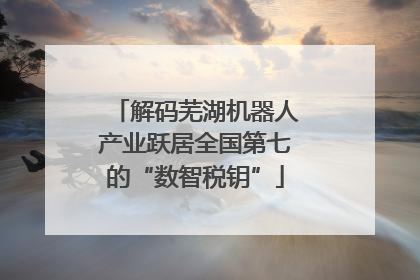 解码芜湖机器人产业跃居全国第七的“数智税钥”