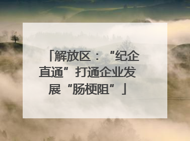 解放区：“纪企直通”打通企业发展“肠梗阻”
