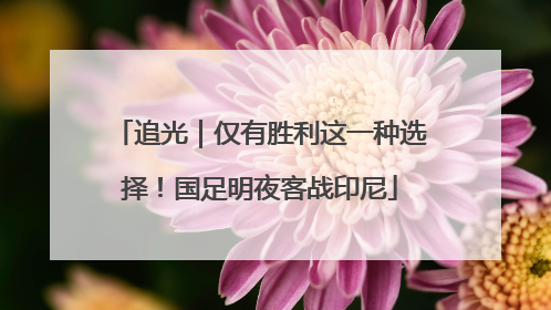 追光｜仅有胜利这一种选择！国足明夜客战印尼