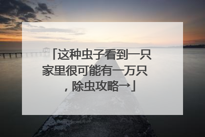 这种虫子看到一只家里很可能有一万只，除虫攻略→