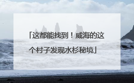 这都能找到！威海的这个村子发现水杉秘境