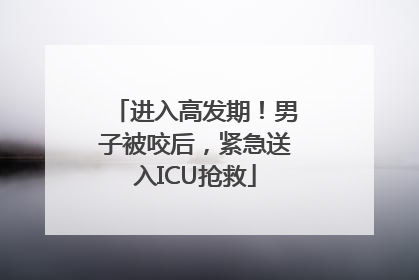 进入高发期！男子被咬后，紧急送入ICU抢救