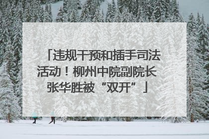 违规干预和插手司法活动！柳州中院副院长张华胜被“双开”