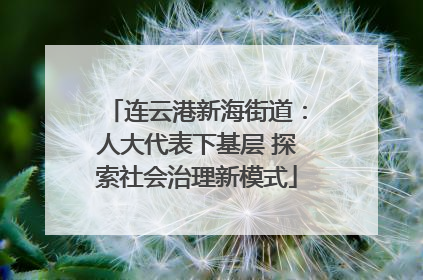 连云港新海街道：人大代表下基层 探索社会治理新模式