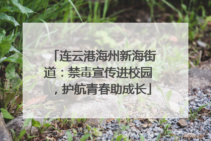 连云港海州新海街道：禁毒宣传进校园，护航青春助成长