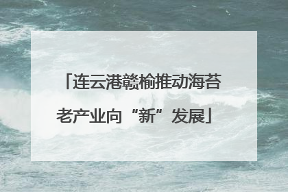 连云港赣榆推动海苔老产业向“新”发展