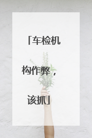 车检机构作弊，该抓