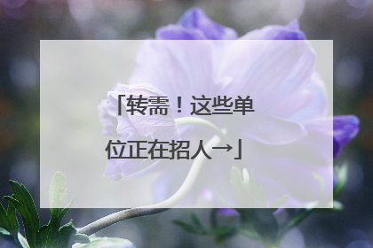 转需！这些单位正在招人→