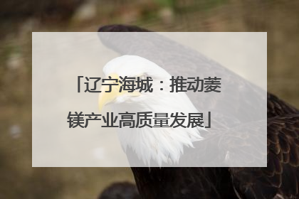 辽宁海城：推动菱镁产业高质量发展