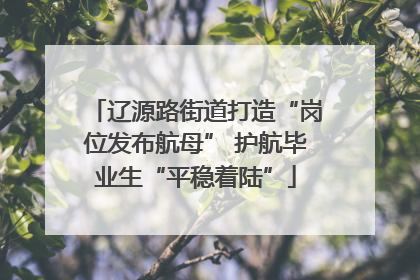 辽源路街道打造“岗位发布航母” 护航毕业生“平稳着陆”