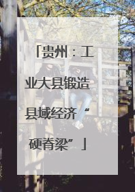 贵州：工业大县锻造县域经济“硬脊梁”