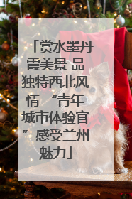 赏水墨丹霞美景 品独特西北风情 “青年城市体验官”感受兰州魅力