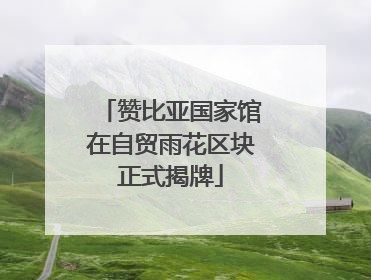 赞比亚国家馆在自贸雨花区块正式揭牌
