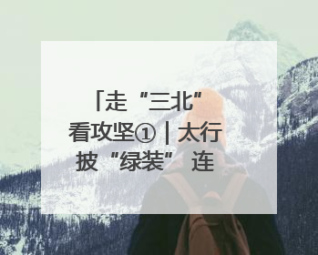 走“三北” 看攻坚①｜太行披“绿装” 连翘药茶香