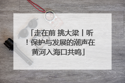 走在前 挑大梁丨听！保护与发展的潮声在黄河入海口共鸣