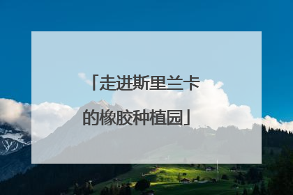 走进斯里兰卡的橡胶种植园
