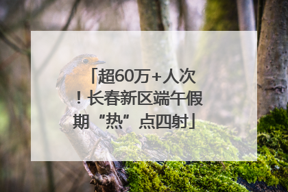 超60万+人次！长春新区端午假期“热”点四射