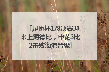 足协杯1/8决赛迎来上海德比，申花3比2击败海港晋级
