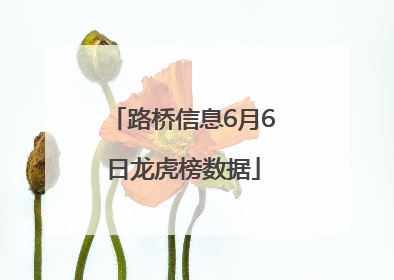 路桥信息6月6日龙虎榜数据