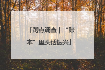 蹲点调查｜“账本”里头话振兴
