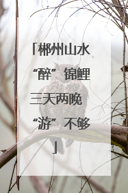 郴州山水“醉”锦鲤 三天两晚“游”不够